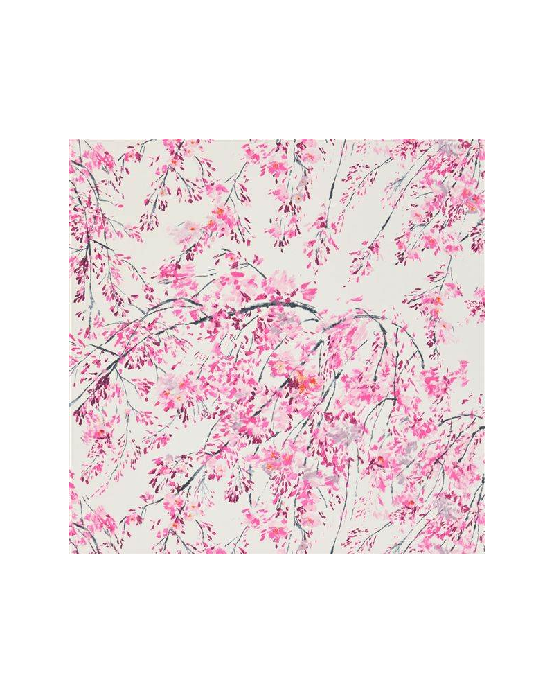 FDG2293-02-plum blossom