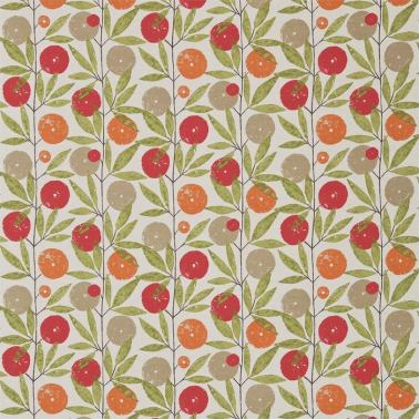 Tela NFIK120358-blomma-tangerine chilli citrus SCION