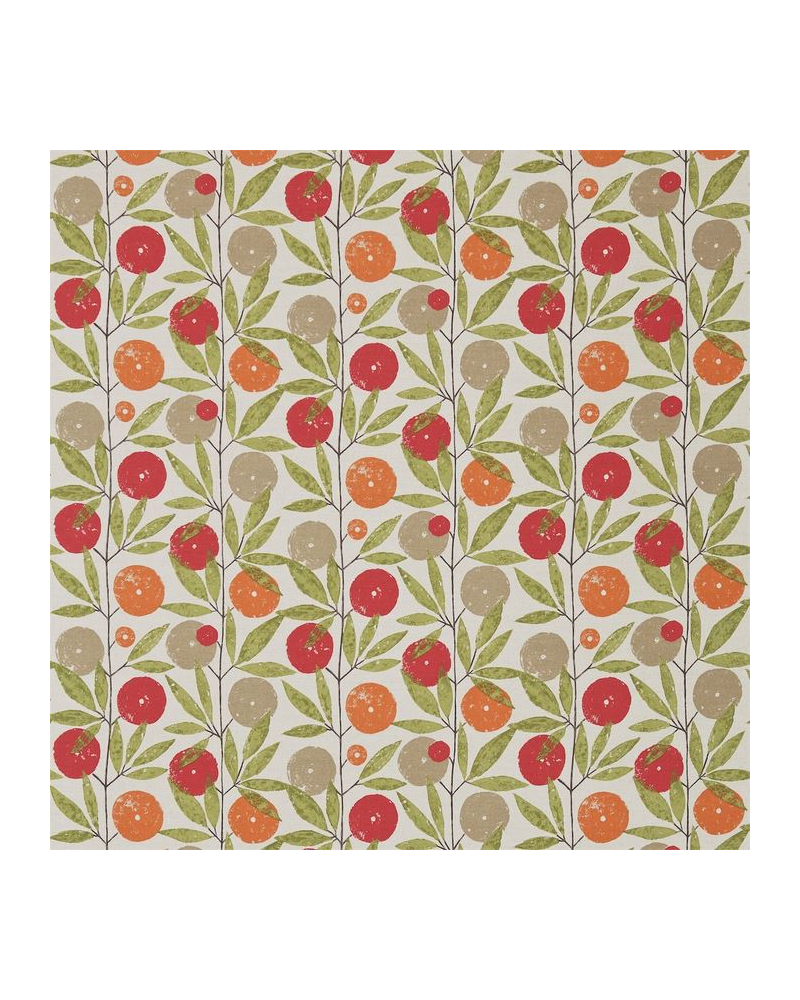 Tela NFIK120358-blomma-tangerine chilli citrus SCION