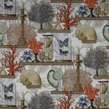 Tela 04766-01 LE CABINET DE CURIOSITE CORAIL MANUEL CANOVAS
