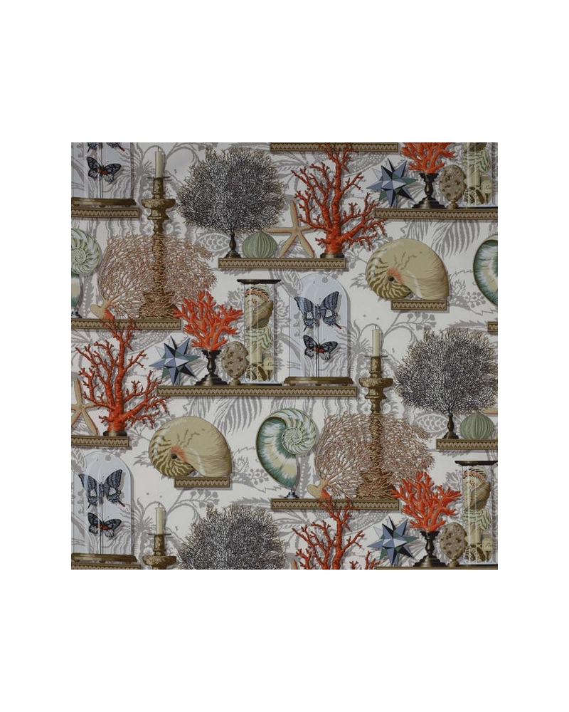 Tela 04766-01 LE CABINET DE CURIOSITE CORAIL MANUEL CANOVAS