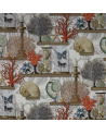 Tela 04766-01 LE CABINET DE CURIOSITE CORAIL MANUEL CANOVAS