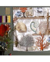 Tela 04766-01 LE CABINET DE CURIOSITE CORAIL MANUEL CANOVAS
