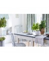 Tela DPGR236331 CHAMOMILE TRAIL Sanderson
