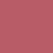 Colour Box Velvet Rose F111-11046