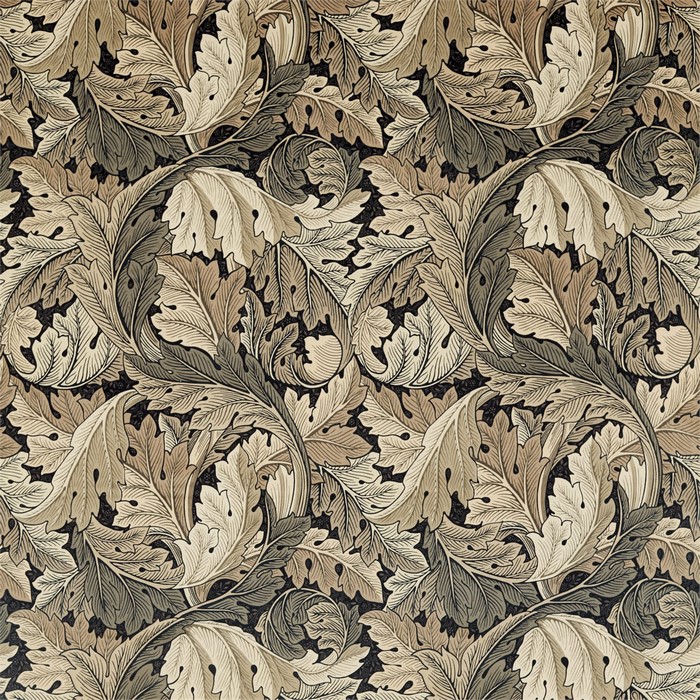Acanthus 4226399