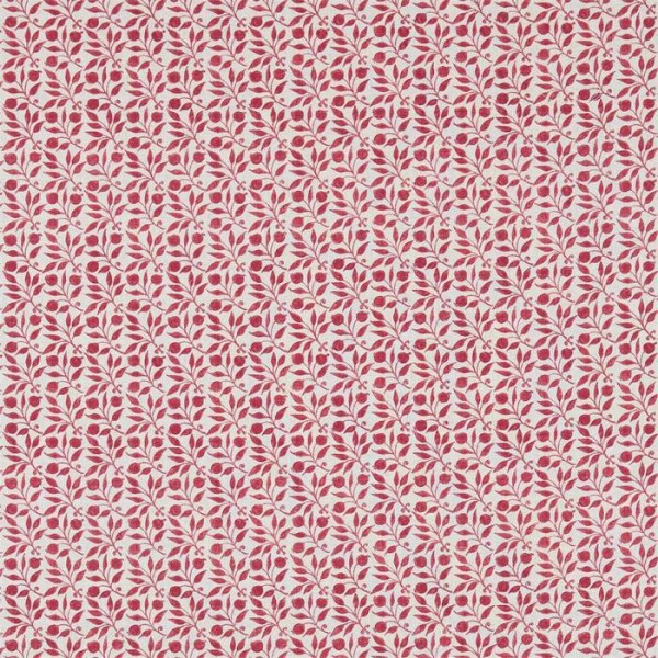 Rosehip 226692 Rosehip 226692