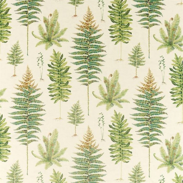 Fernery 226578 Fernery 226578