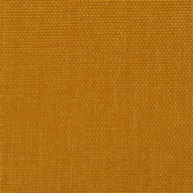 Salt Marsh Maize FRL5131-03
