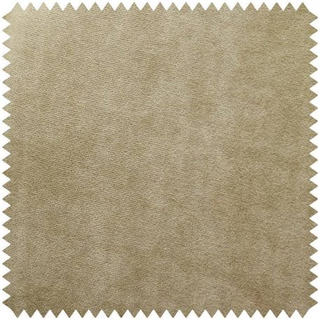 PLAIN VELVET LICHEN PLAIN VELVET LICHEN