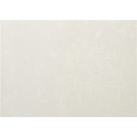 SKINERIE WLB 03 CHAMPAGNE