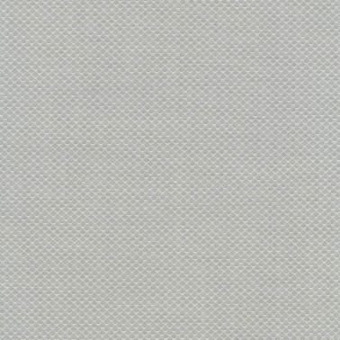 Jaali C0101