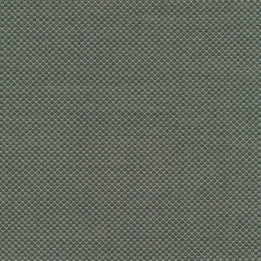 Jaali C0961