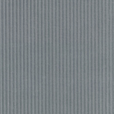 Phlox C0133