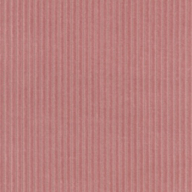 Phlox C0633