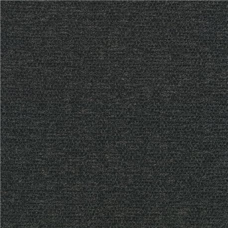 Savanna C0192