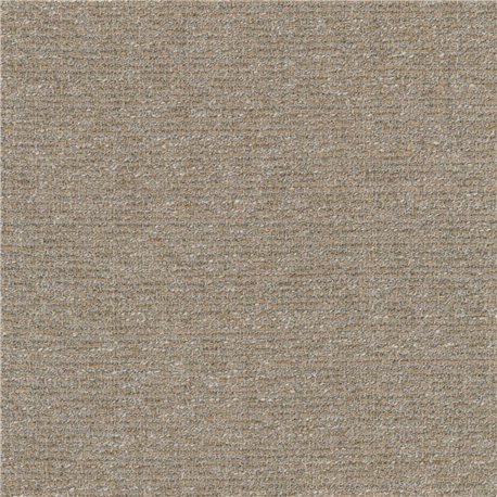 Savanna C0222