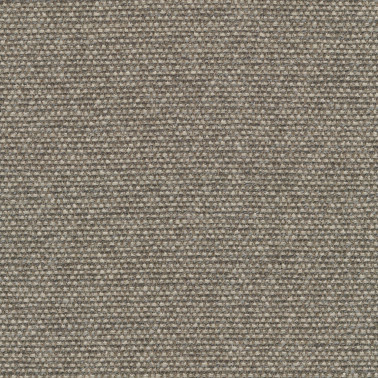 Savanna C0242