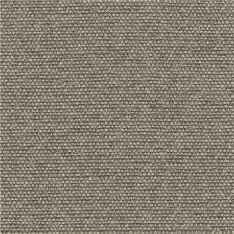 Savanna C0242