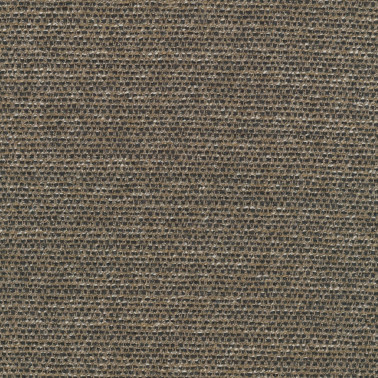 Savanna C0262