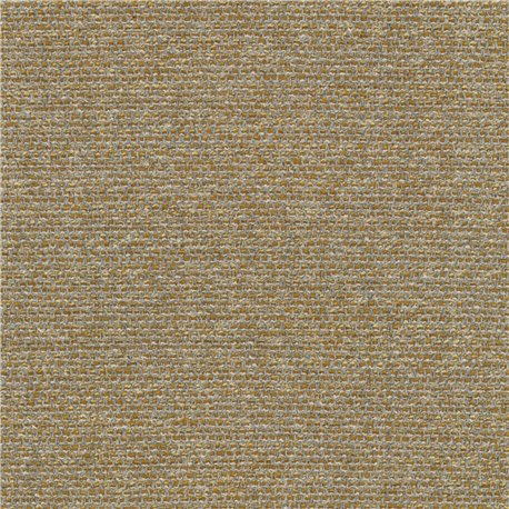 Savanna C0442
