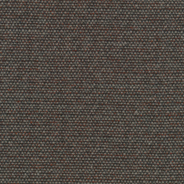 Savanna C0672