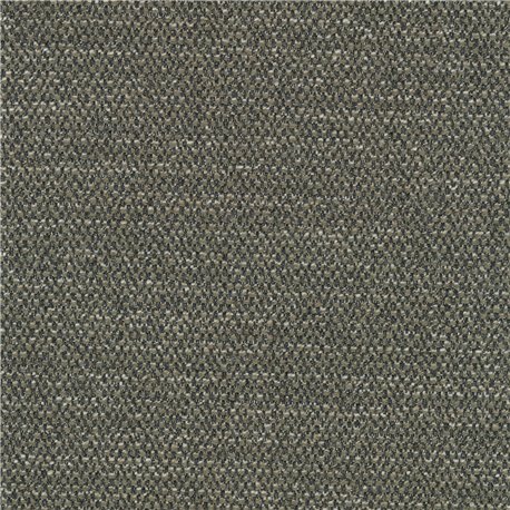 Savanna C0952