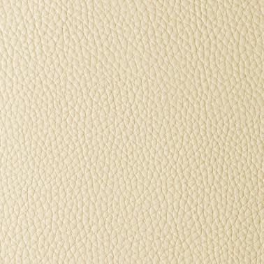 DELTA IVORY