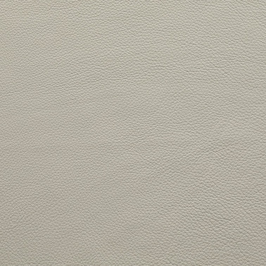 DALMATA090