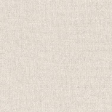 Dune 48620855
