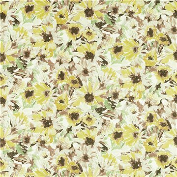 Helianthus Sunflower Grass Awakening HQN2121073