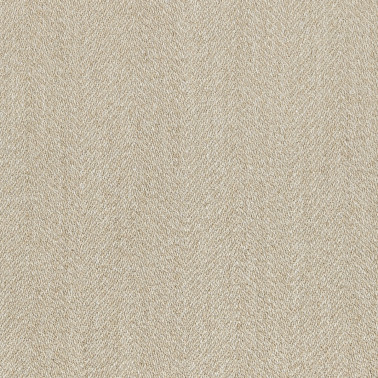 PALMAR-06