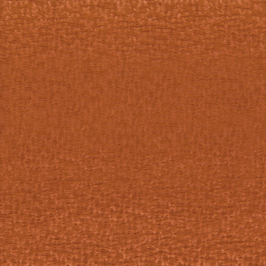 Regard Orange Brulee 41311726