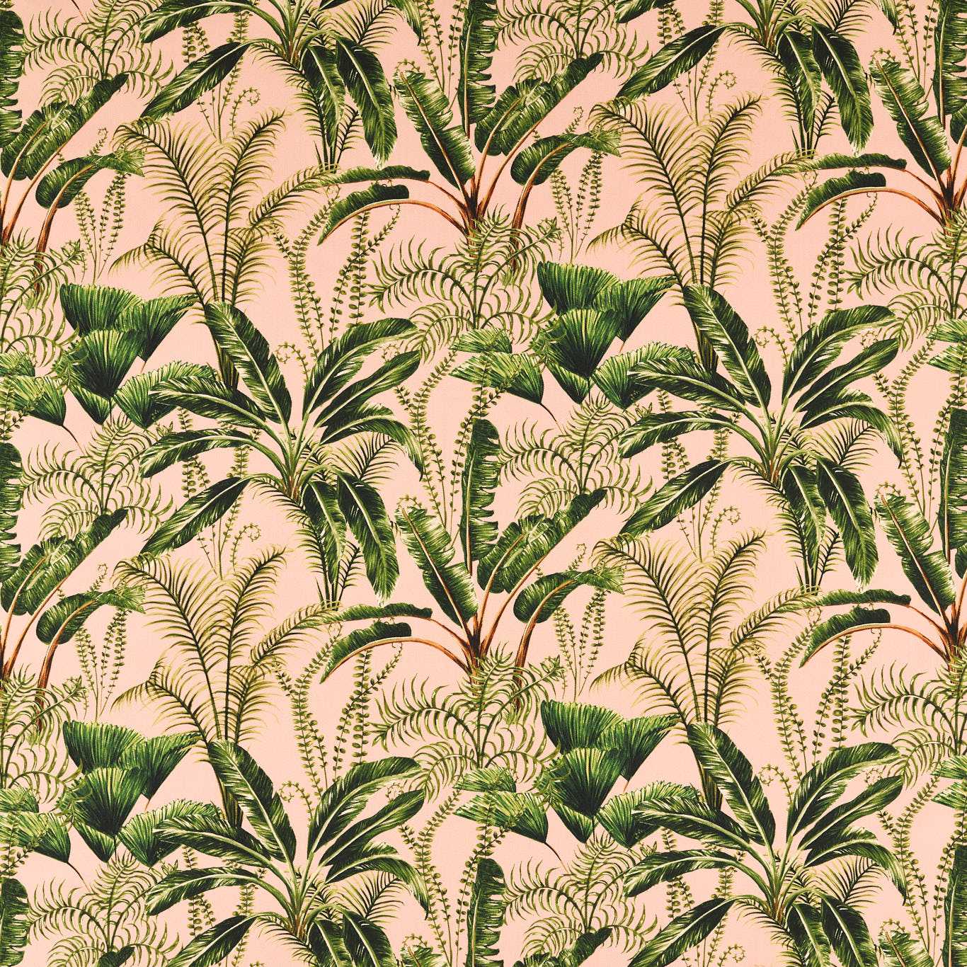 Majorelle Outdoor Blush F1670-01