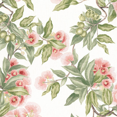 Camellia Garden Coral AF24550