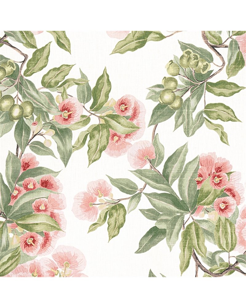 Camellia Garden Coral AF24550