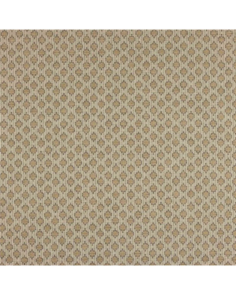 Delaney Taupe J0241-04