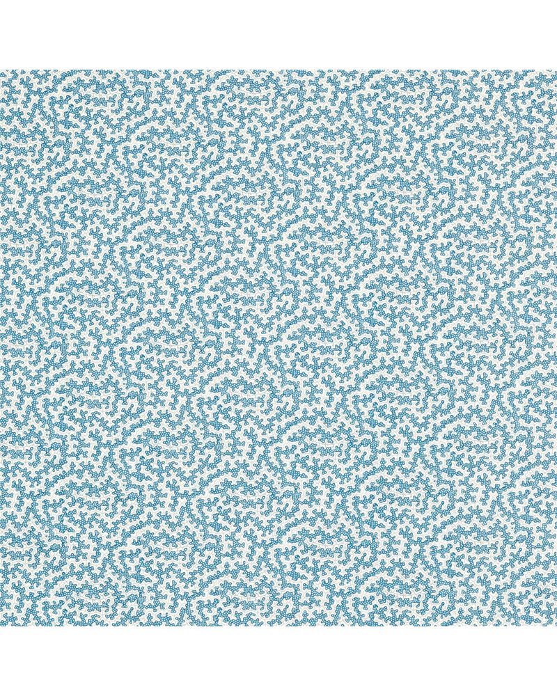 Truffle Pacific DSAN227202 Truffle Pacific DSAN227202