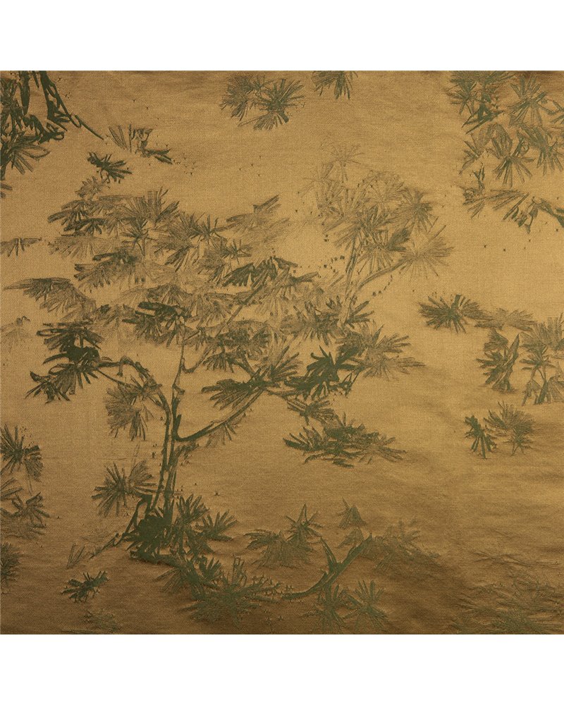 GINKGO-01 GINKGO-01