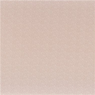 Tarana Nude 40600424