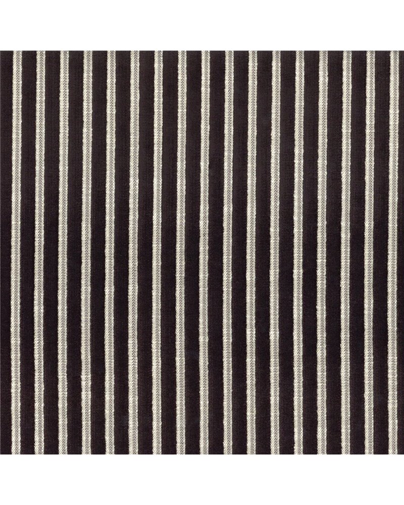 Zebu Noir 11630211 Zebu Noir 11630211