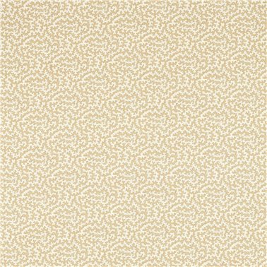 Truffle Wheat DARB227086