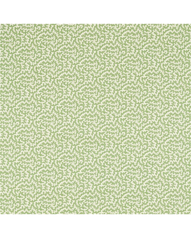 Truffle Sap Green DARB227083 Truffle Sap Green DARB227083