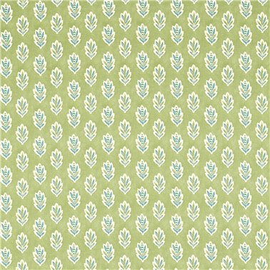 Sessile Leaf Artichoke DARB227076