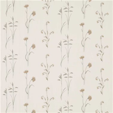 Meadow Grasses Sage Honey DWOW235605