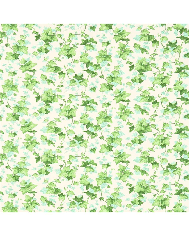 Hedera Green DVIN224336 Hedera Green DVIN224336
