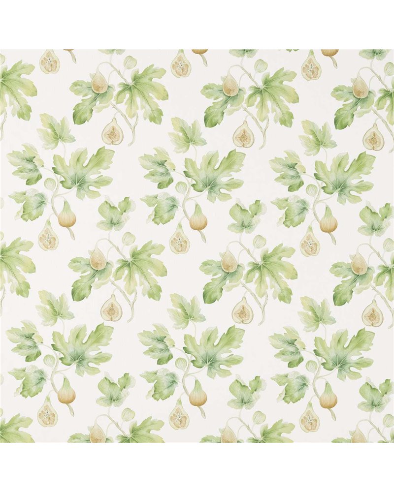 Fig Harvest Garden Green DART226329 Fig Harvest Garden Green DART226329