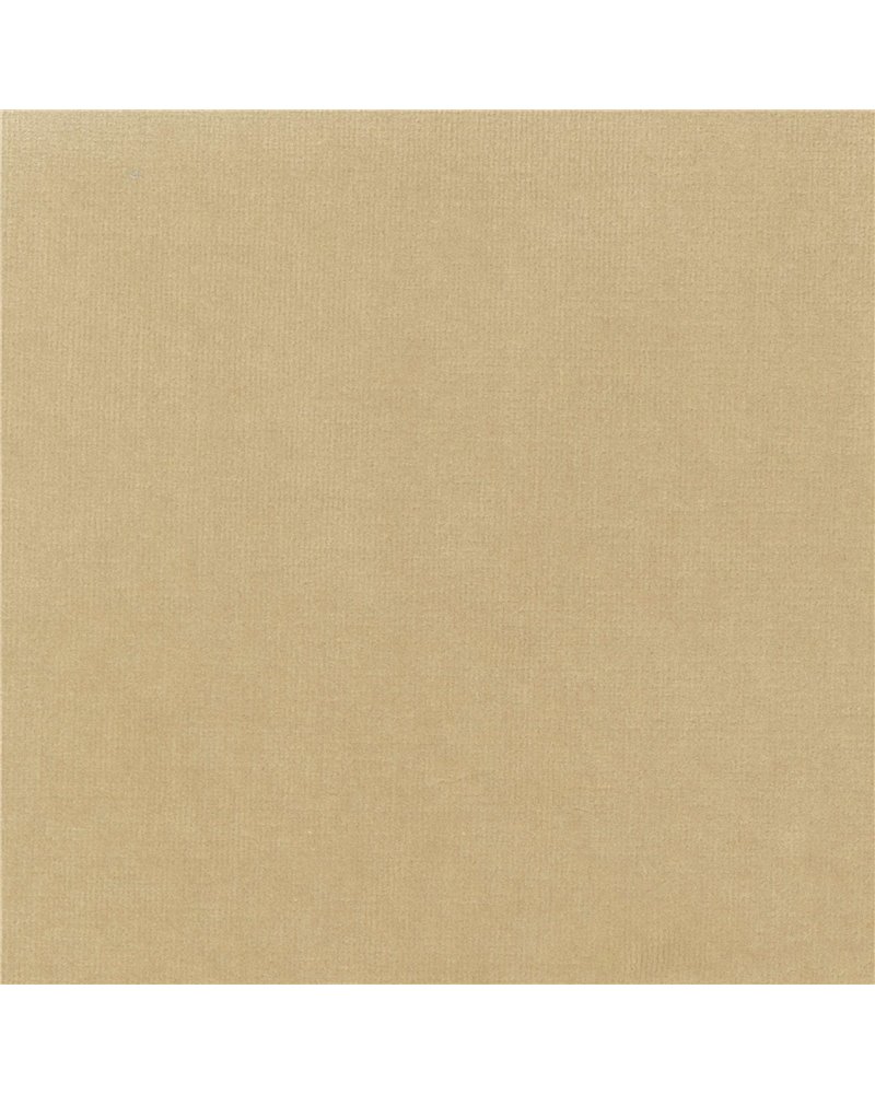 Palatine Timidite Assumee LB-711-70 Palatine Timidite Assumee LB-711-70