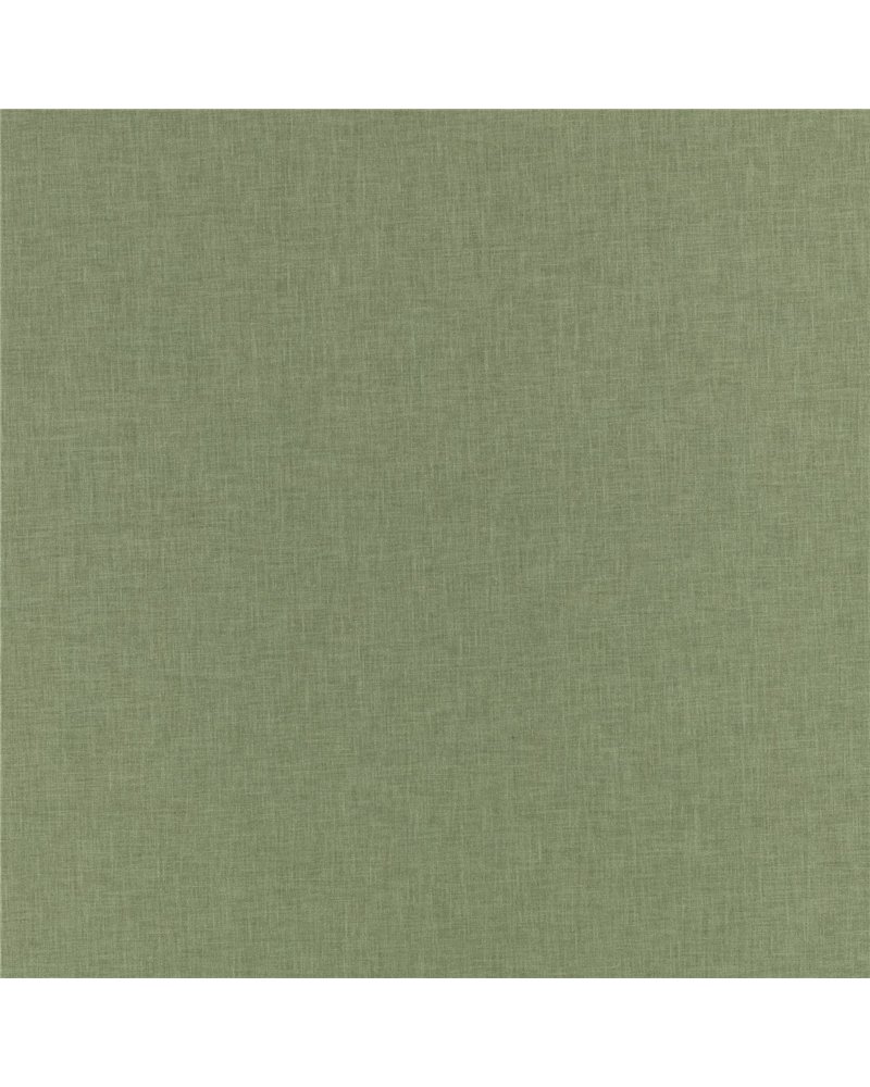 Havana Basil V359538