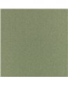 Havana Basil V359538